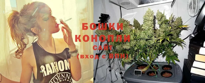 Шишки марихуана OG Kush  магазин продажи   Балашов 